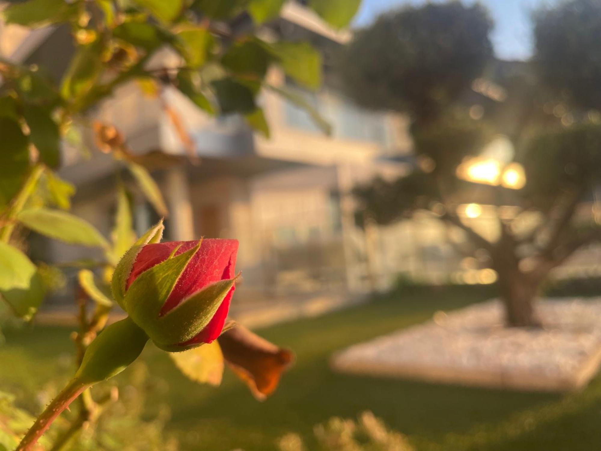 Altos De Finestrat Villa Bagian luar foto
